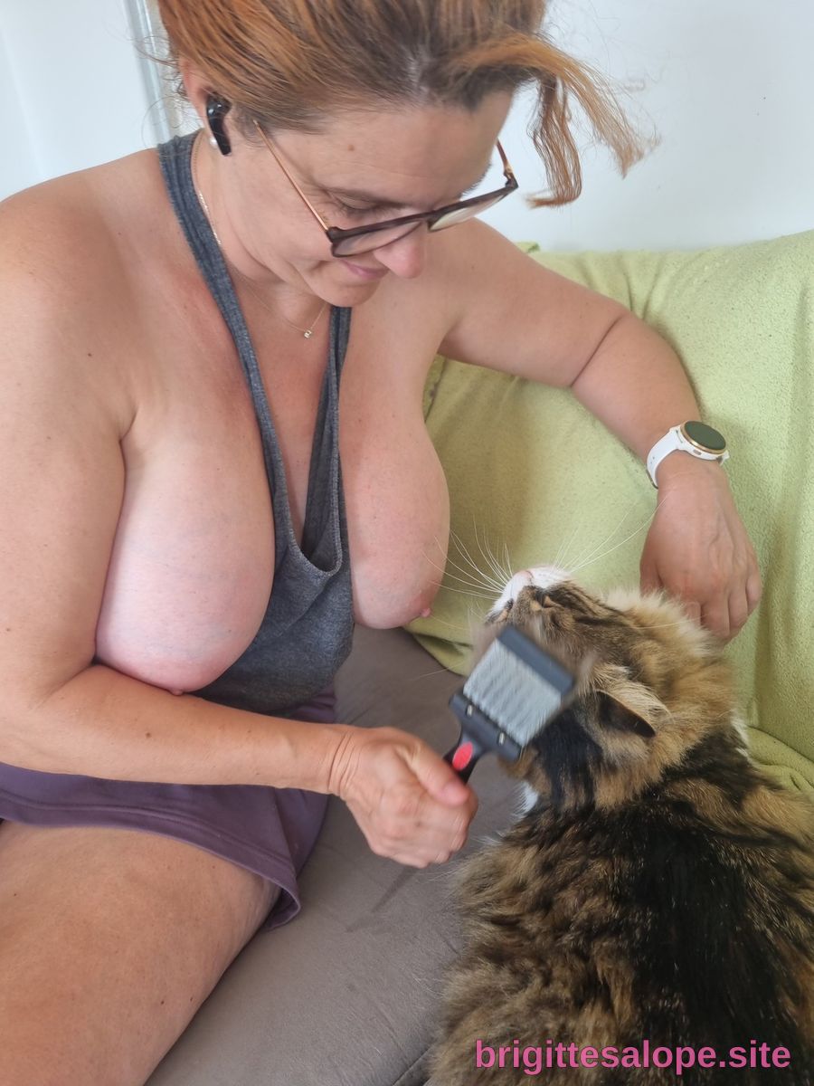 Grossesses et chat — Brigitte la Salope