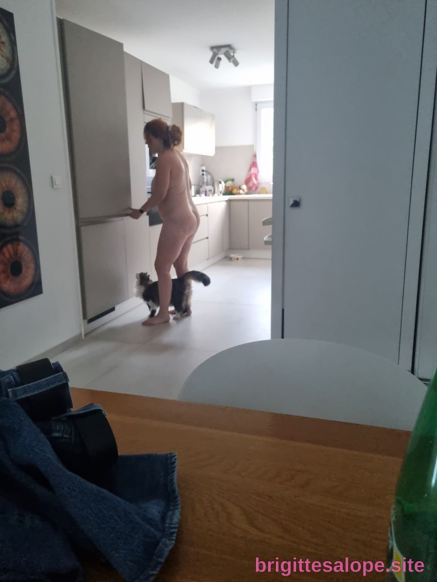 Nue dans la cuisine (photo 454) — Brigitte la Salope
