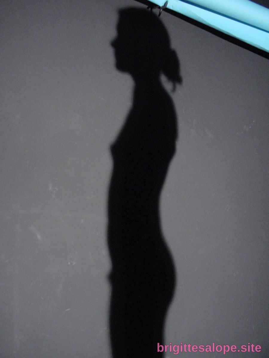 Silhouette en noir — Brigitte la Salope