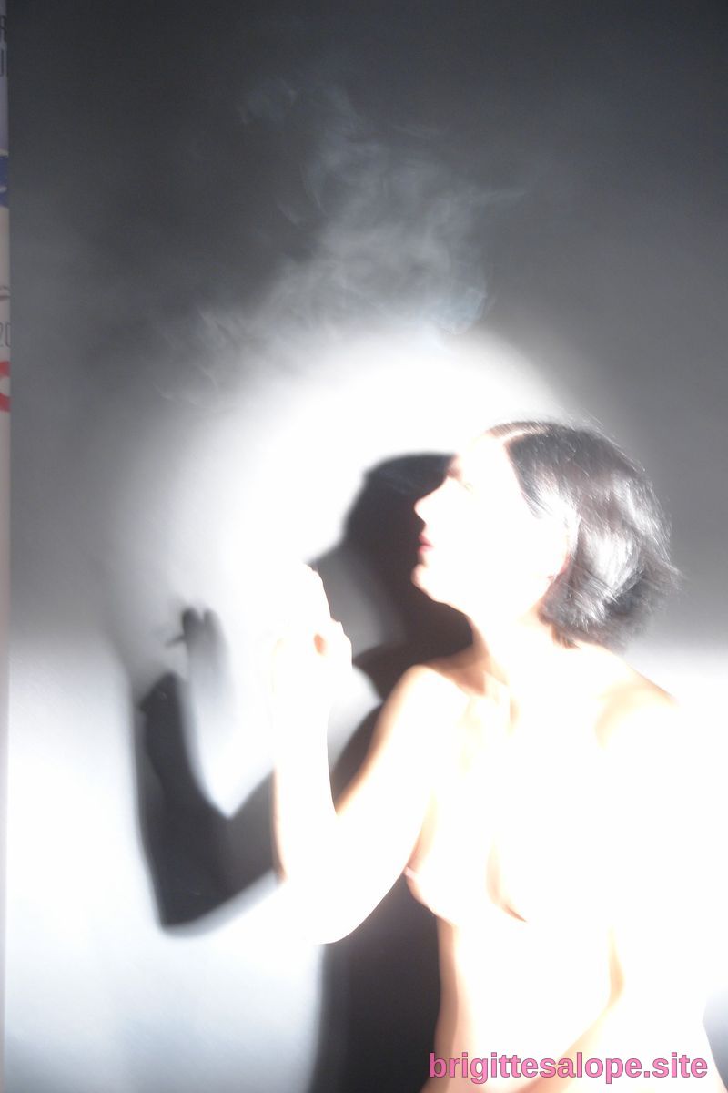 Silhouette brûlante — Brigitte la Salope