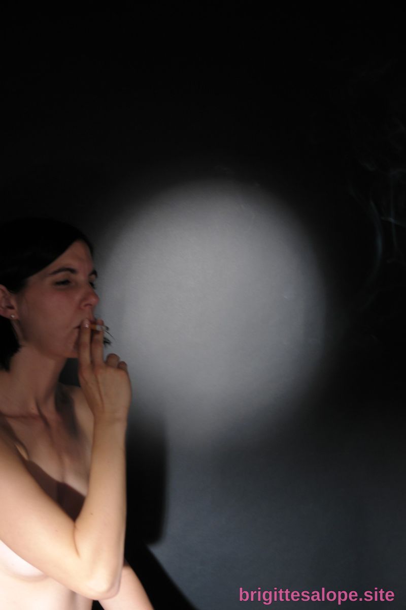 Fumée dans la nuit — Brigitte la Salope