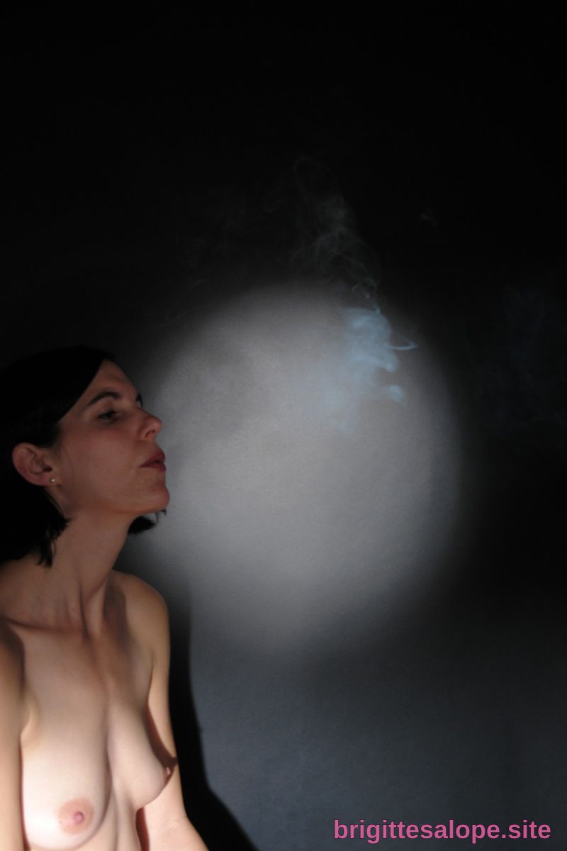 Nu sous la lumière froide — Brigitte la Salope