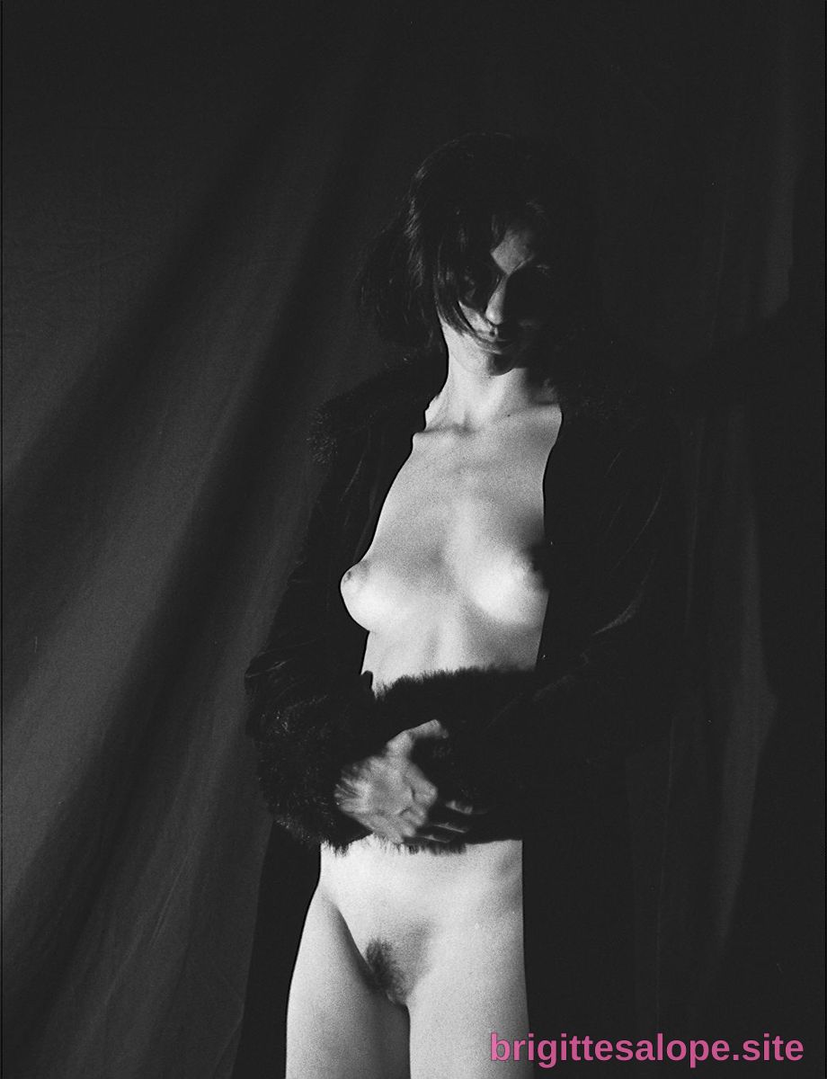 Silhouette nue — Brigitte la Salope