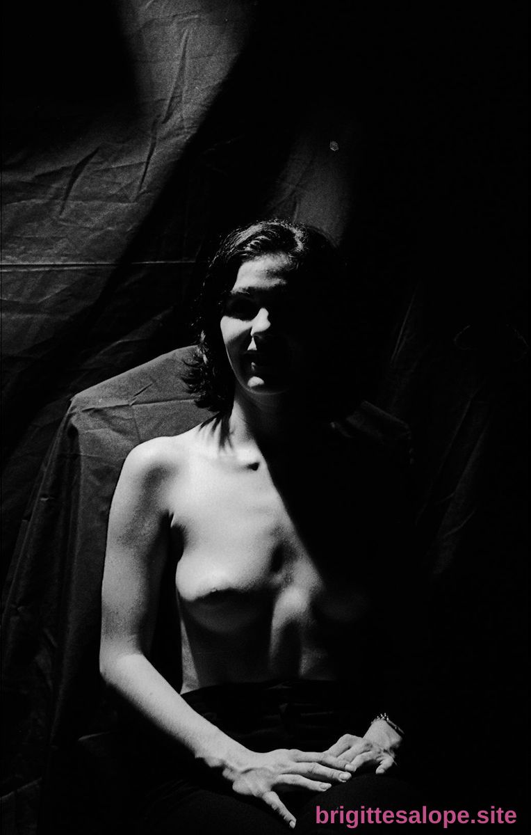Éclipse de lumière — Brigitte la Salope