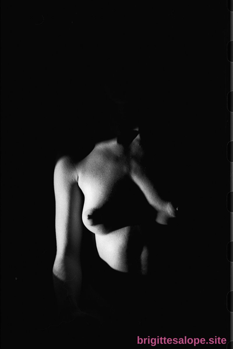 Silhouette noire — Brigitte la Salope