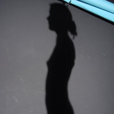 Silhouette en noir — Brigitte la Salope
