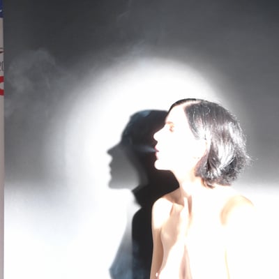 Silhouette éclatante — Brigitte la Salope