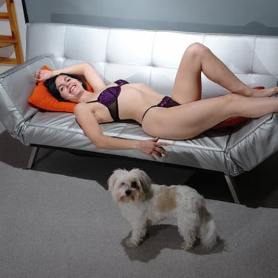 Femme et chien sur canapé lumineux — Brigitte la Salope